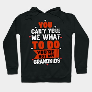 You Can't Tell Me What To Do You're Not My Grandkids Hoodie